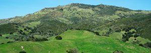 mount diablo